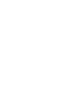 Premier league branco