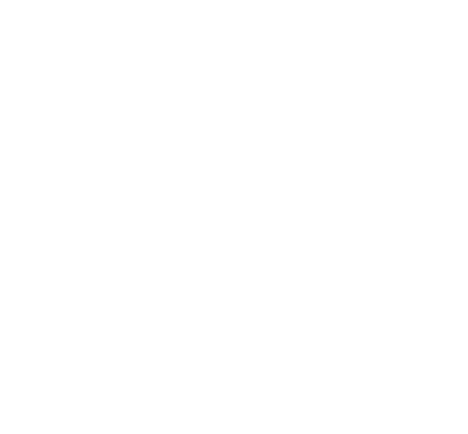 RECORD WHITE